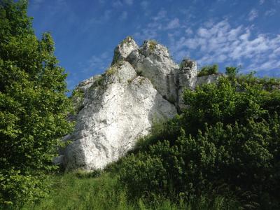 岩石, 石灰石, 景观, 自然, 朱 krakowsko częstochowa, 波兰, 旅游