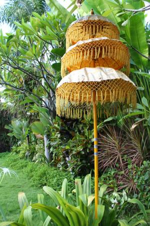 巴厘岛, 雨伞, 三层, 自然