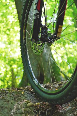 山地自行车, 自行车, 骑自行车, 车轮, 活动, 体育, 自然