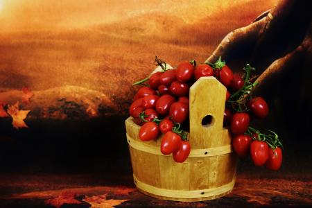 西红柿, 木桶, 收集, 蔬菜, 健康, 收获, 红色