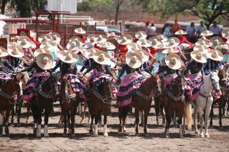 冲突, 墨西哥, 传统, charros, 马, 帆布