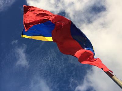 国旗, 委内瑞拉, 极
