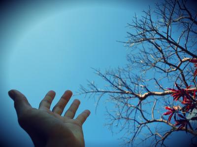 手, 天空, 自然, 手指, 蓝色, 背景, 无限
