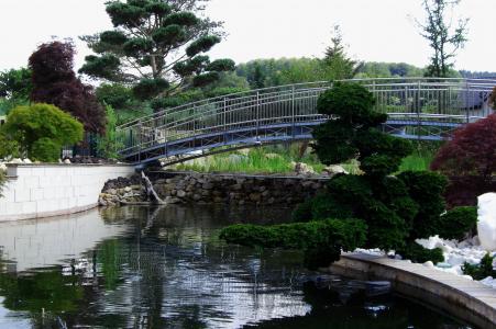 桥梁, 池塘, 自然, 绿色, 水, 树木, 花园