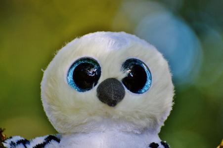 雪白的猫头鹰, 白色, 鸟, 羽毛, 闪闪发光的眼睛, 毛绒玩具, 软玩具