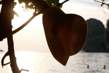 太阳, 帽子, 树, 假日, 夏季, 假期, 海滩