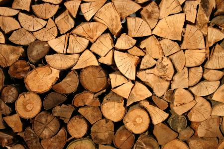 摘要, 树皮, 切, 木柴, 林业, 日志, 木材