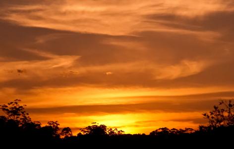 日落, 天空, 云彩, 橙色, 黄金, 发光, 澳大利亚