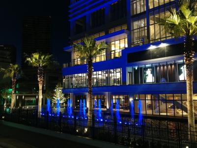 酒店, 夜景, 棕榈树, 蓝色, 热带, 大阪, 神户夜景
