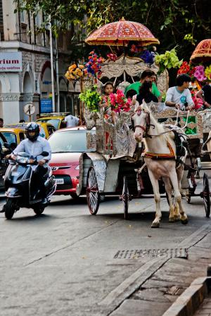马车, 马, 维多利亚时代, 印度, 交通, 街道, 道路