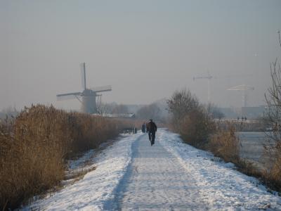 村, 荷兰, 莫利纳, 冬季景观, 冬天, 雪, 低温