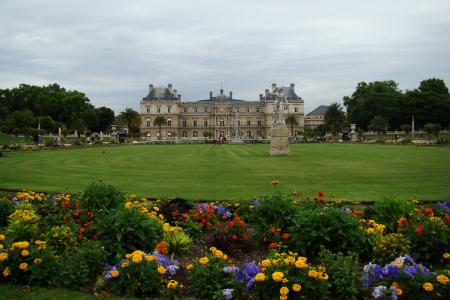 卢森堡的宫殿, 的宫殿, 卢森堡, 城市, 法国, 巴黎, 花园