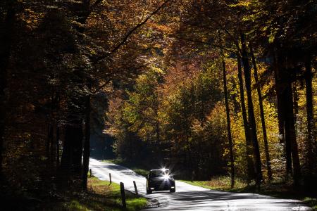 道路, 自动, 森林, 秋天, 秋天的落叶, 金色的秋天, 叶子