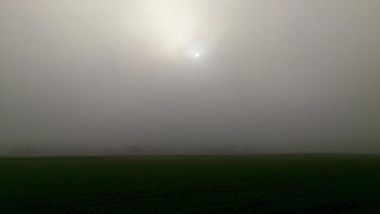 雾, 字段, 太阳, 特里斯特, 灰色, 大气, 回光