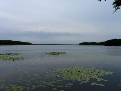 梅克伦堡, 双簧管 seenplatte, 自然, 湖, 心情, 贾斯珀国家公园