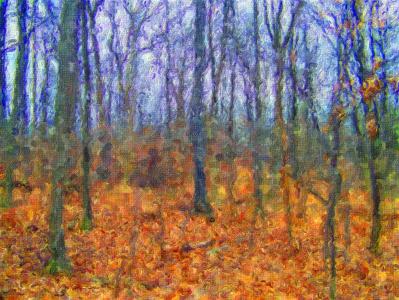 伍兹, 树木, 森林, 秋天, 秋天, 绘画, 艺术