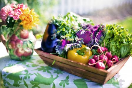 蔬菜, 花园, 收获, 有机, 绿色, 园艺, 生菜