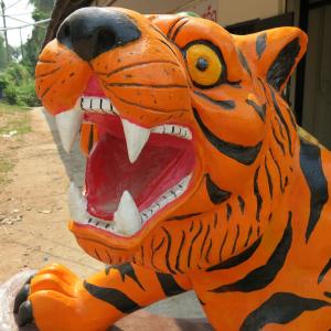 老虎, 泰国, 动物, 野生动物, 孟加拉, 头, 亚洲