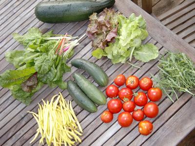 蔬菜, 花园, 弗里施, 食品, 收获