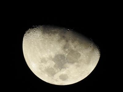 月亮, 月球陨石坑, 天文学, 农历, 月光, 火山口, 晚上