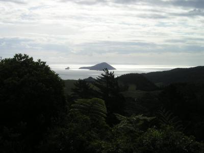 新西兰, 群岛, 回光, 景观, 北岛, 自然, 风景