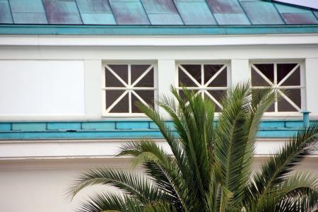 棕榈, 树, 建设, 窗口, 屋顶, 蓝色