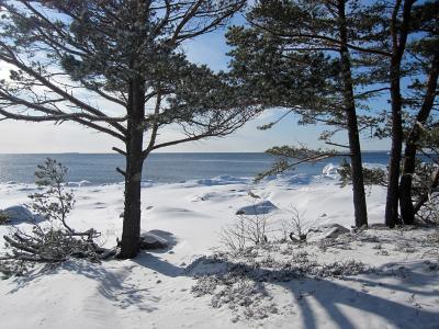景观, 冬天, 芬兰语, 白雪皑皑, 自然, 地平线, 冰冷