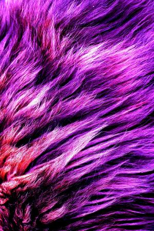 foux, 毛皮, 紫色, 材料, 时尚, 全帧, 背景