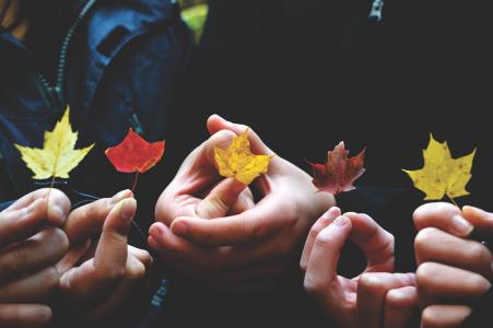 秋天, 秋天的落叶, 颜色, 颜色, 干枯的树叶, 手, 举行