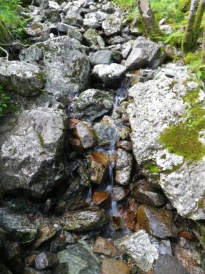 水, 流量, 石头, 水功能, 巴赫, 自然, 岩石-对象