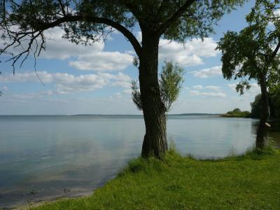 夏季, 湖, 自然, 休息, 恢复, 水, 和谐