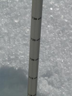 雪的深度, 测量, 雪, 冬天, 厚厚的积雪, 冰冷, 感冒