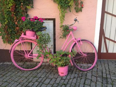 粉色, 自行车, 自行车, 体育, 女孩, 骑自行车的人, 休闲