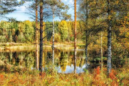 芬兰, hdr, 池塘, 湖, 水, 几点思考, 森林