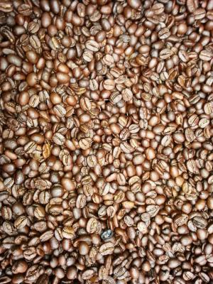 咖啡豆, 新鲜咖啡, 坦桑尼亚, 非洲, 农业, 新的理由, 咖啡