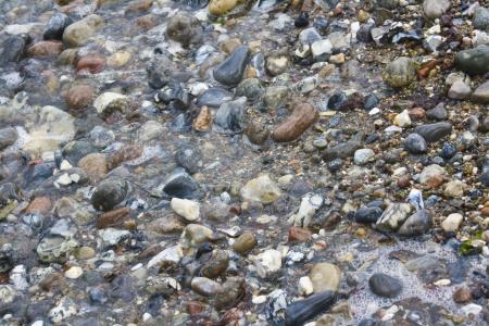 石头, 海滩, 背景, 海, 湿法, 海滩石头, 卵石