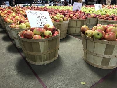 苹果, 收获, 食品, 水果, 有机, 秋天, 自然