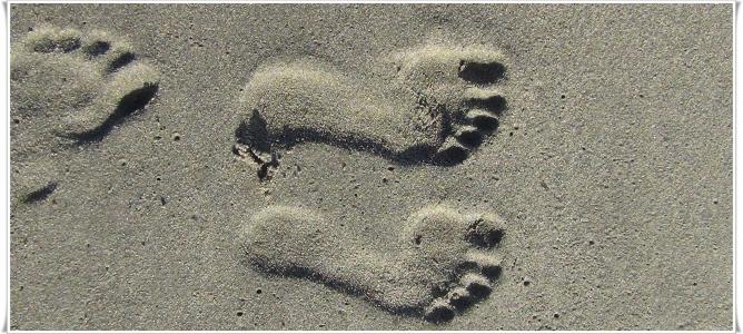 足迹, 沙子, 夏季
