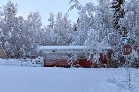 阿拉斯加, 雪, 拖车, 冬天, 感冒, 冰