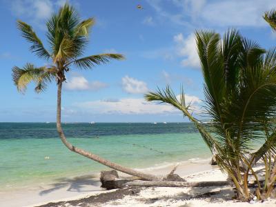 多米尼加共和国, 蓬塔卡纳, 海滩, 椰子, 海, 假日, 天堂