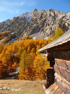 山, 格拉谷, 小木屋, 秋天, 阿尔卑斯山, 自然, 秋季景观