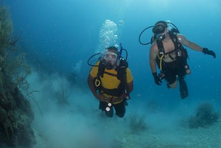 水肺潜水, 潜水员, 跳水, 水下, 海洋, 礁, 海洋