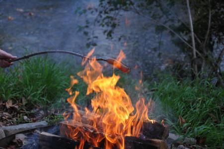 炉边, 野餐, 火焰, 香肠, 烧烤