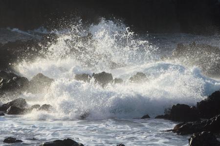 水, 波, 喷雾, 回光, 海, 自然, 网上冲浪