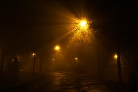 晚上, 道路, 灯笼, 雾, 城市, 黑暗, 雨