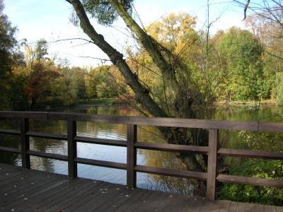 公园, 秋天, 桥梁, 湖