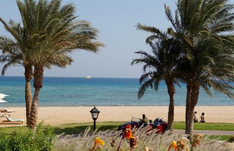 埃及, 海滩, 树木, 海, 太阳, 沙子, 夏季