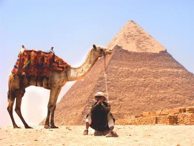骆驼, 沙漠, 金字塔, 中东, 沙子, 动物, 人