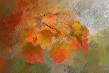 绘画, 叶子, 秋天, 自然, 枫树, 树, 叶子
