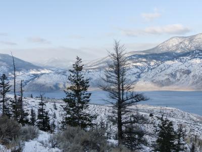 甘露湖, 不列颠哥伦比亚省, 加拿大, 冬天, 景观, 雪, 感冒